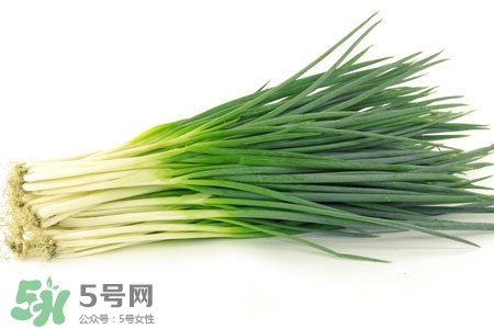2017過年小蔥會(huì)漲價(jià)嗎？2017年春節(jié)小蔥價(jià)格預(yù)測(cè)