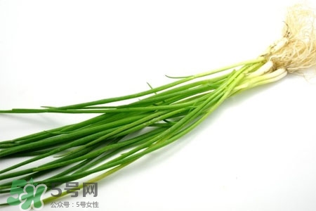 2017過年小蔥會(huì)漲價(jià)嗎？2017年春節(jié)小蔥價(jià)格預(yù)測(cè)