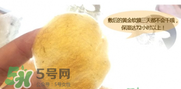 shangpree香蒲麗黃金面膜怎么樣？好用嗎？