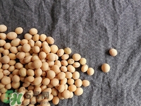 對心臟有益的食物有哪些？對心臟有好處的食物大全