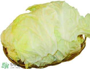 白菜發(fā)苦能吃嗎？大白菜發(fā)苦是什么原因？