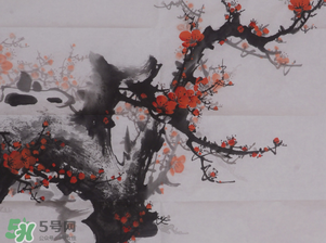 梅花可以放臥室嗎？梅花放在臥室風(fēng)水好嗎？