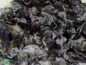 干木耳泡多久可以吃？干木耳泡了兩天還能吃嗎？