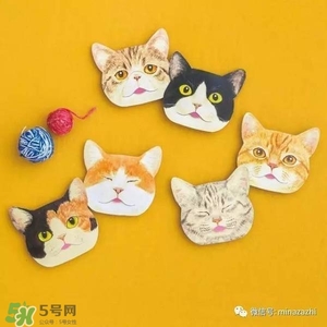 felissimo貓爪化妝棉多少錢？felissimo貓爪化妝棉哪里買？