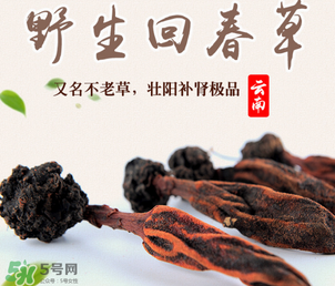 回春草多少錢一斤？回春草多少錢一克？