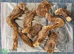 野生肉蓯蓉多少錢一斤？肉蓯蓉價(jià)格一斤多少錢？