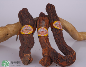 鎖陽和肉蓯蓉一起泡酒可以嗎？肉蓯蓉和鎖陽的區(qū)別