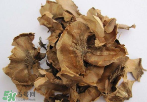 分心木真的能治失眠嗎？分心木治療失眠有奇效