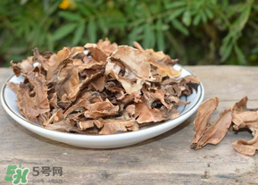分心木真的能治失眠嗎？分心木治療失眠有奇效