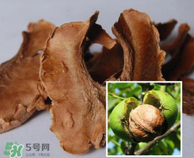 核桃分心木能長(zhǎng)期喝嗎？核桃分心木一天喝幾次？