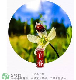立春可以出門嗎？立春為什么不能出門？