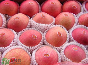 阿克蘇蘋(píng)果脆嗎？阿克蘇蘋(píng)果是粉蘋(píng)果還是脆蘋(píng)果？