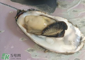 生蠔多少錢一斤？生蠔一斤有幾個？