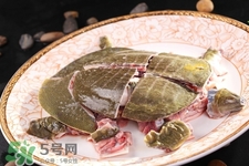 有乙肝可以吃甲魚嗎？乙肝患者禁吃甲魚