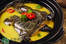 有乙肝可以吃甲魚嗎？乙肝患者禁吃甲魚