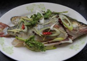 桂魚蒸多長時間？桂魚水開后蒸多長時間？
