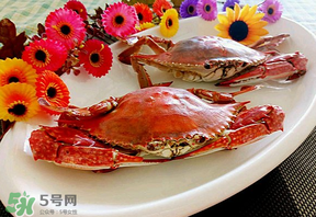 臘月吃什么蟹？臘月吃公蟹還是母蟹？