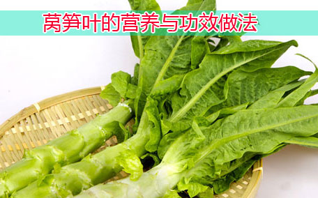 萵筍可以減肥嗎 萵筍二青和三青的區(qū)別