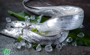 帶魚多少錢一斤？帶魚多少錢一箱？