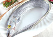 帶魚多少錢一斤？帶魚多少錢一箱？