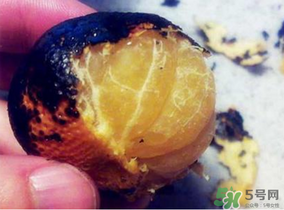橘子烤著吃會(huì)上火嗎？烤橘子上火嗎？