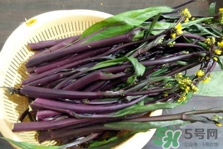 紅菜苔怎么保存？紅菜苔的存儲(chǔ)方法