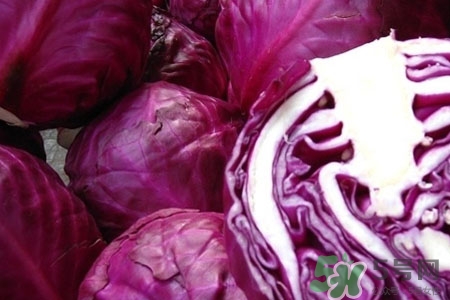 紫甘藍(lán)是轉(zhuǎn)基因食品嗎？紫甘藍(lán)是轉(zhuǎn)基因蔬菜嗎？