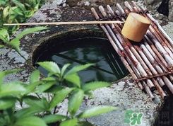 井華水是什么？井華水的含義