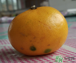 橘子皮發(fā)霉可以吃嗎？吃了發(fā)霉的橘子怎么辦？