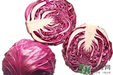 紫甘藍和包心菜哪個更營養(yǎng)？紫甘藍和包心菜的區(qū)別