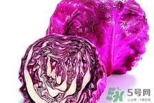 紫甘藍和包心菜哪個更營養(yǎng)？紫甘藍和包心菜的區(qū)別
