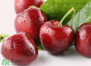 為什么吃車?yán)遄訒亲樱砍攒嚴(yán)遄永亲釉趺崔k？