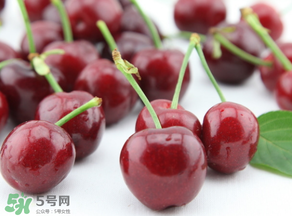 為什么吃車?yán)遄訒亲樱砍攒嚴(yán)遄永亲釉趺崔k？