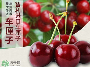 車?yán)遄恿验_能吃嗎？車?yán)遄訛槭裁磿?huì)裂開？