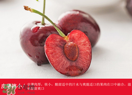 車厘子哪里產(chǎn)的最好？車厘子產(chǎn)地在哪里？