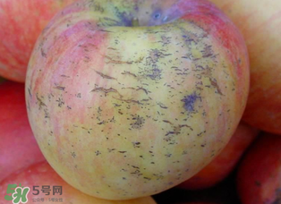 蘋(píng)果裂紋能吃嗎？蘋(píng)果裂紋是怎么回事？