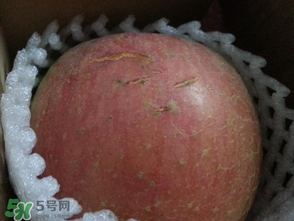 蘋(píng)果裂紋能吃嗎？蘋(píng)果裂紋是怎么回事？