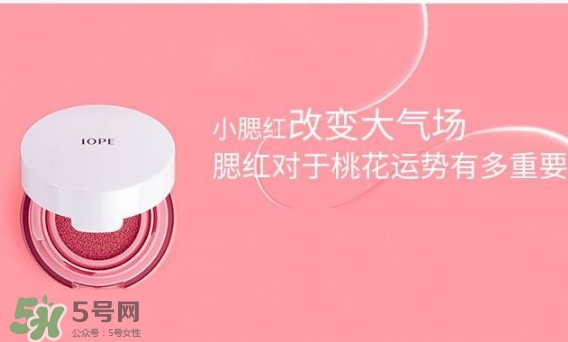 iope氣墊腮紅怎么用？iope亦博氣墊腮紅使用心得