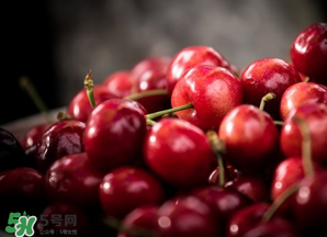 車厘子什么季節(jié)吃？車厘子是什么季節(jié)的水果？