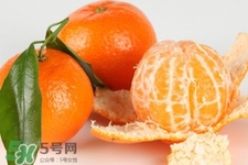 沙糖桔上火嗎？沙糖桔吃多了會上火嗎？