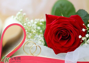情人節(jié)送什么顏色的玫瑰花好？情人節(jié)送幾朵玫瑰花好？