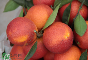 血橙多少錢一斤？四川血橙多少錢一斤？