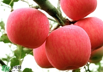 冬天蘋(píng)果太涼怎么吃？冬天蘋(píng)果太涼怎么給寶寶吃？