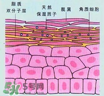 敷面膜真的有效嗎？敷面膜真的有用嗎？