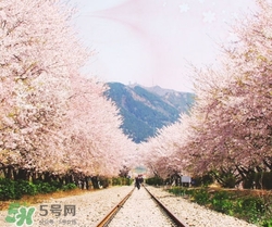 3月份去韓國穿什么？三月份去韓國穿什么衣服？