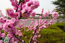 春天養(yǎng)生湯有哪些？春季養(yǎng)生喝什么湯好？