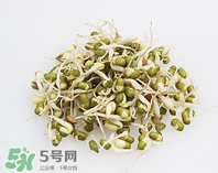 黃豆芽能做餡料嗎？黃豆芽餡包子怎么做？