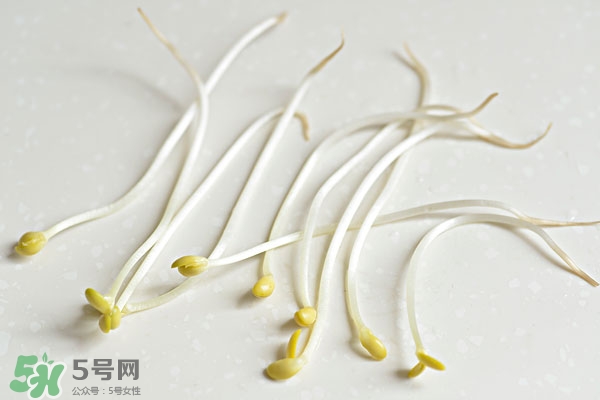 黃豆芽能做餡料嗎？黃豆芽餡包子怎么做？