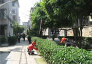 春天吃什么養(yǎng)肝？春季吃什么養(yǎng)肝護肝？