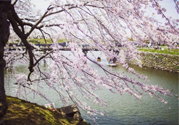 春季養(yǎng)生需注意什么？春季養(yǎng)生宜分三個(gè)時(shí)間段